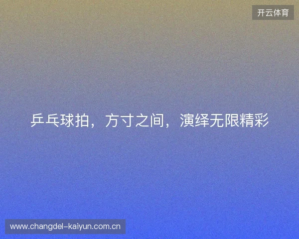 乒乓球拍,方寸之间,演绎无限精彩 乒乓球拍,方寸之间,演绎无限精彩